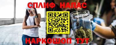 ECSTASY Новозыбков
