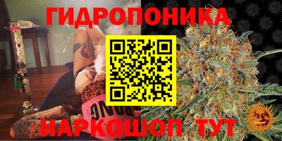 прущая мука Новокубанск