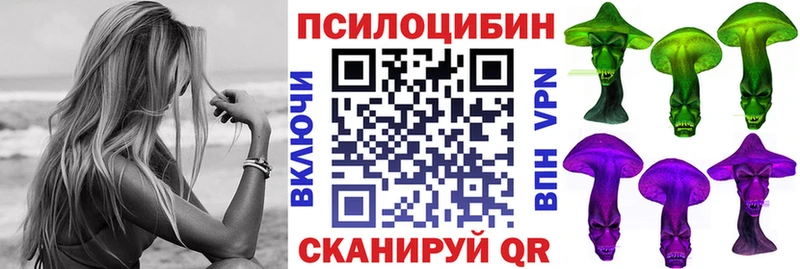 где можно купить наркотик  Благовещенск  Псилоцибиновые грибы Cubensis 