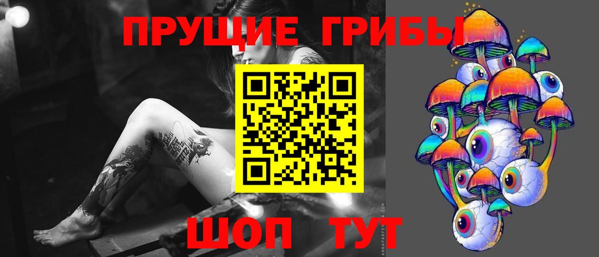 Псилоцибиновые грибы MAGIC MUSHROOMS  Вход с VPN  где продают наркотики  Благовещенск 